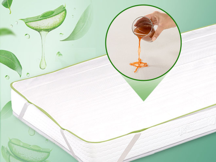 Aloe Vera matracvédő