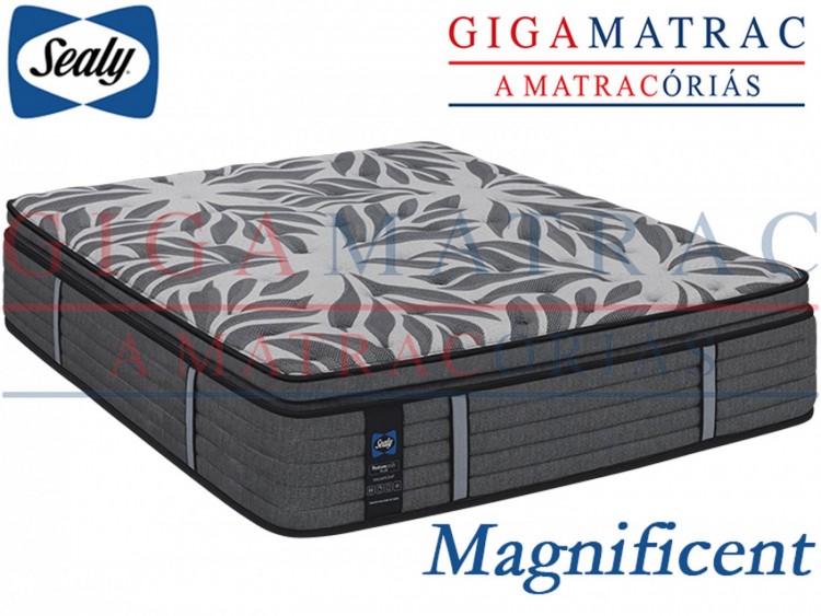 Sealy Magnificent matrac