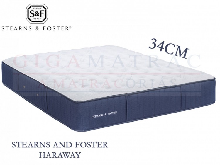 Stearns and Foster Haraway