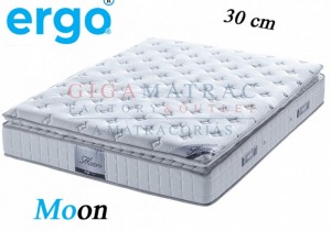 Ergo Moon