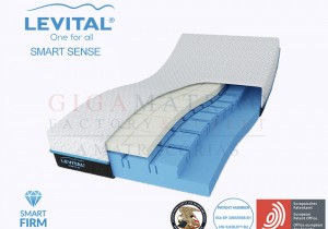 Levital Smart Sense