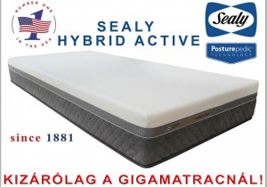 Sealy Hybrid Active